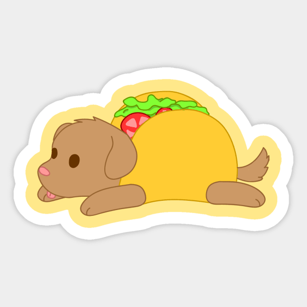 Taco puppy new arrivals